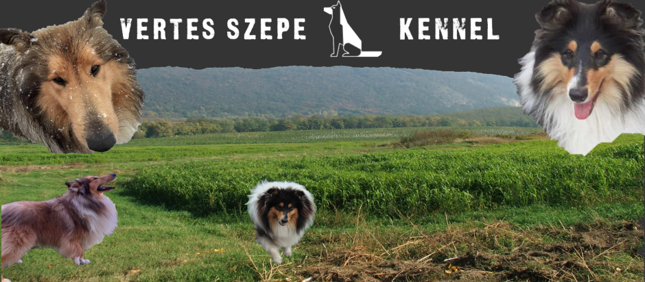 Vértes Szépe Kennel